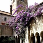 Chiostro Abbazia di Valvisciolo, Sermoneta, Italy